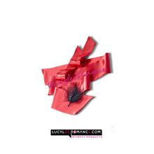 Cargar imagen en el visor de la galería, Pleasure Seekers Play Set