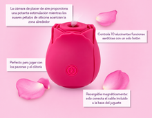 Cargar imagen en el visor de la galería, Rosa
